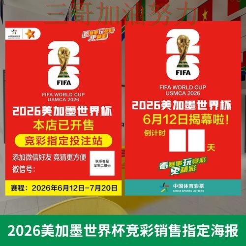 世界杯投注网站大全如何操作靠谱吗？数据分析结果来了（2026世界杯）